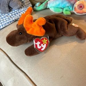 Chocolate the moose beanie baby